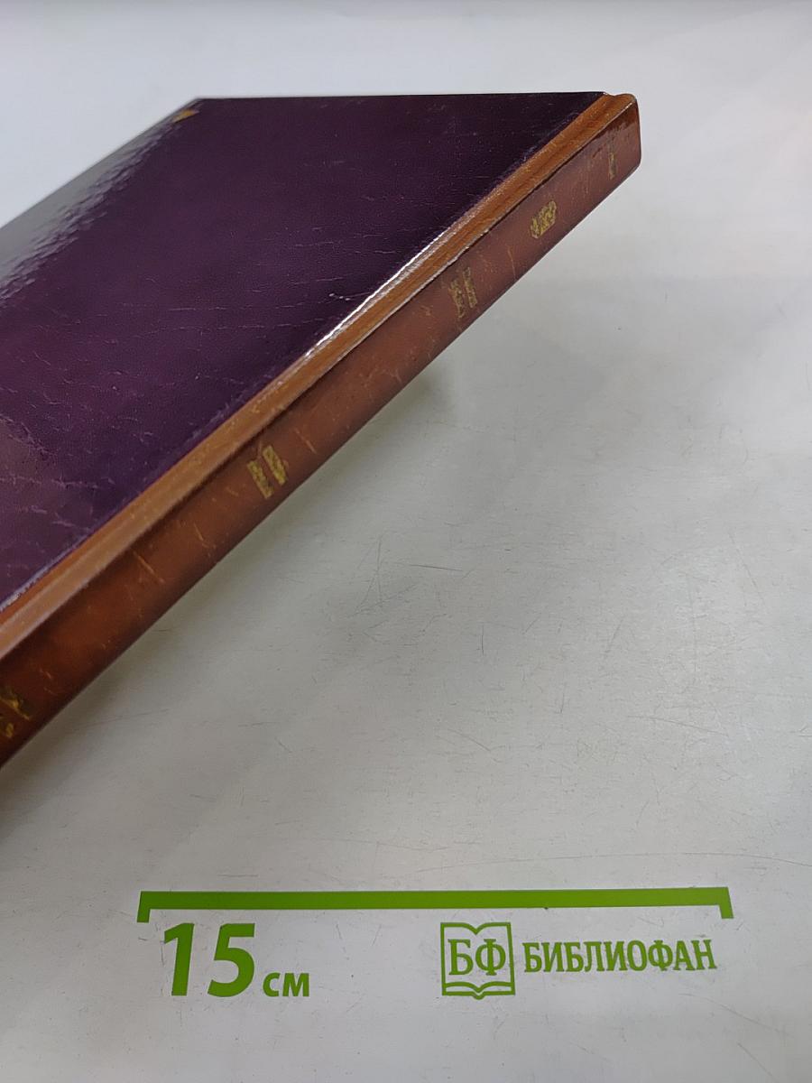 АБВ гуляли по Неве