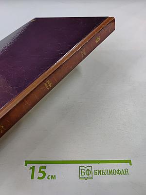 АБВ гуляли по Неве