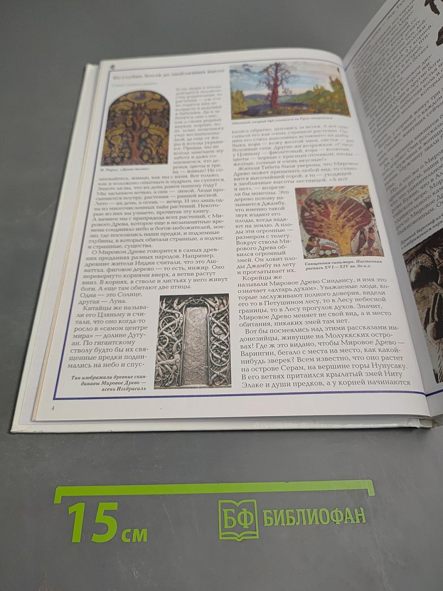 Удивительный мир растений