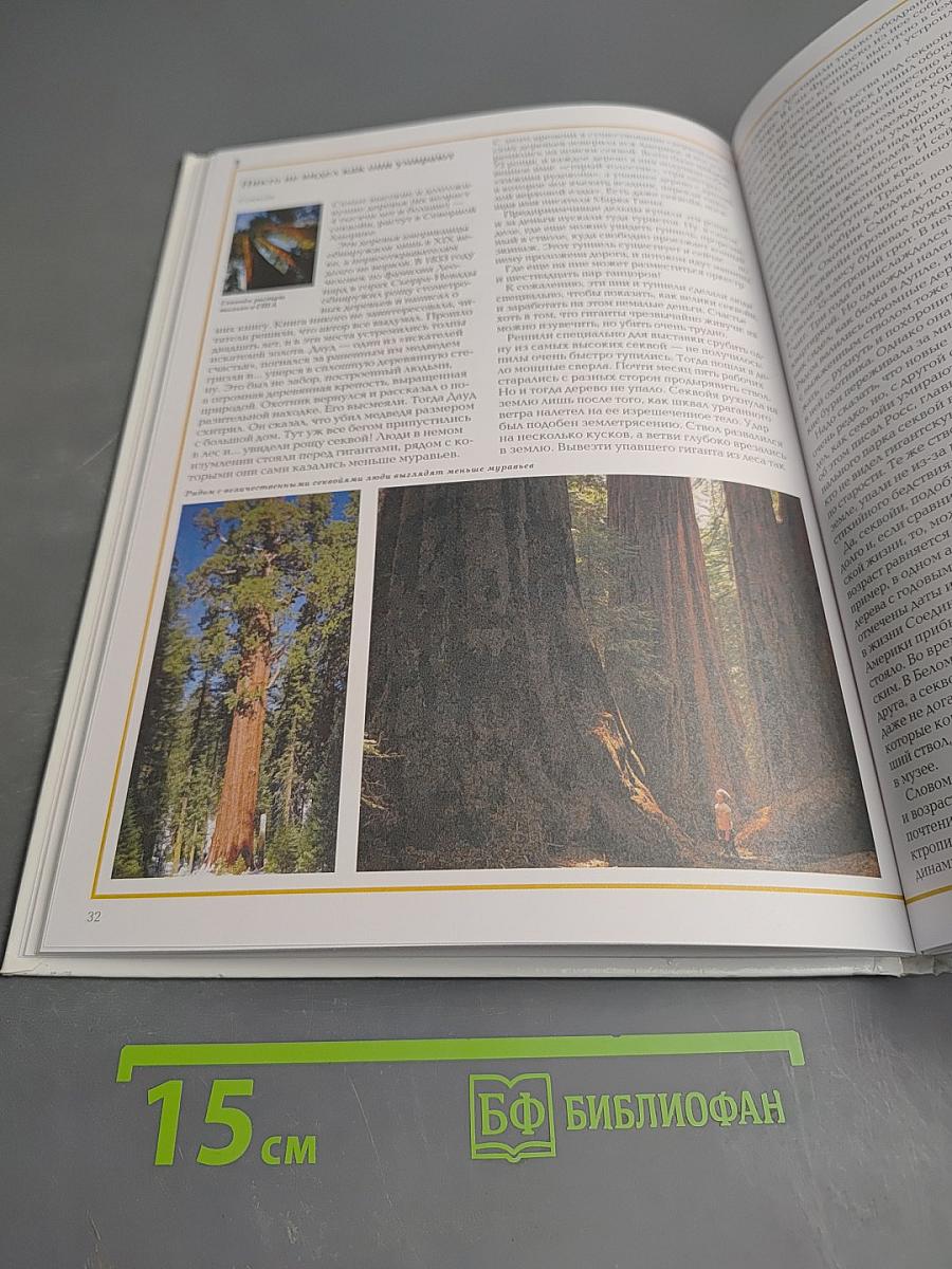 Удивительный мир растений