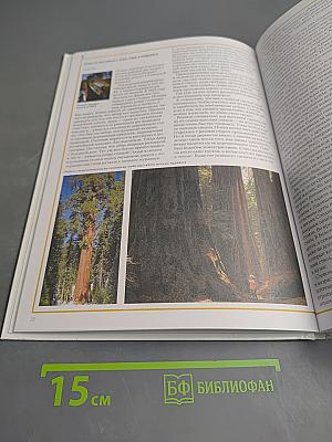 Удивительный мир растений