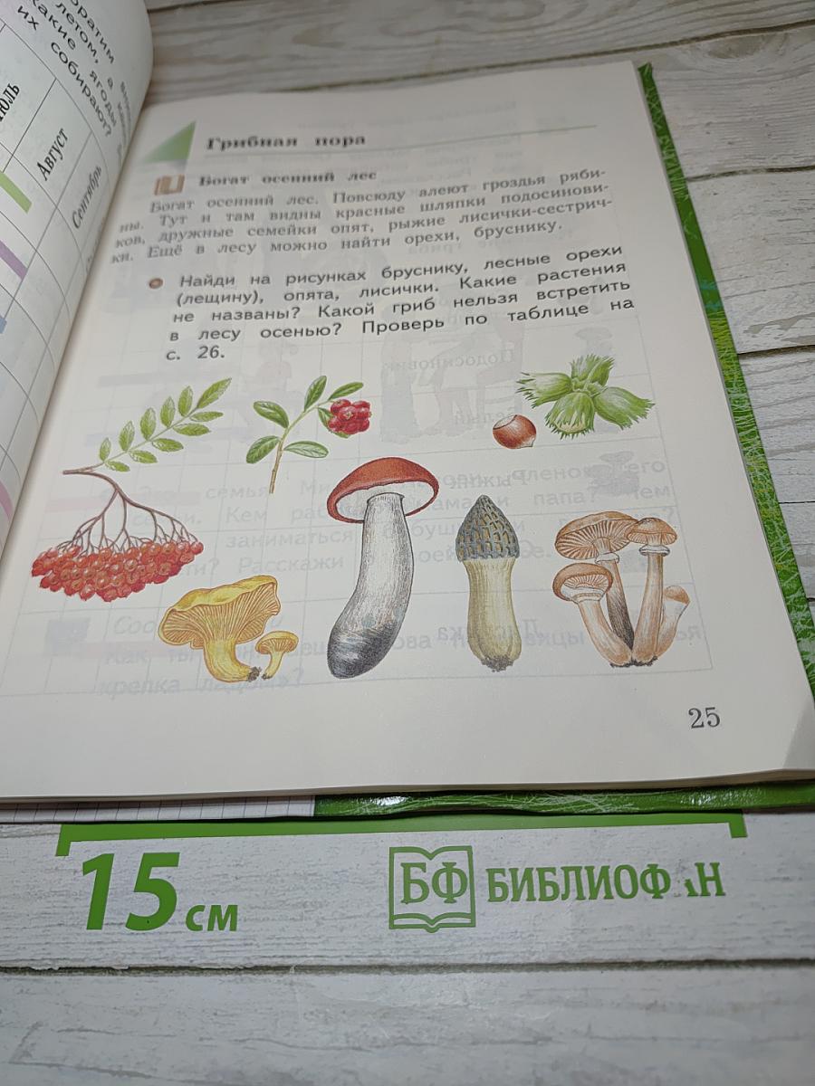 Окружающий мир 1 класс. Часть первая