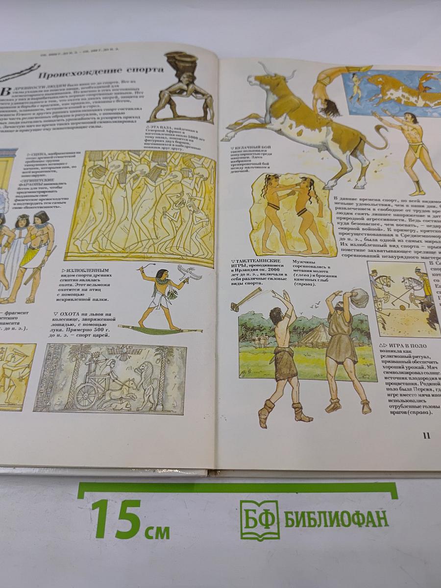 Спорт. Игры, игроки и зрители