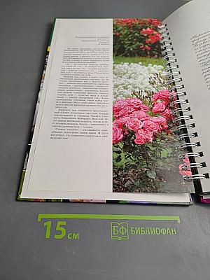 Миллион цветов на вашем участке