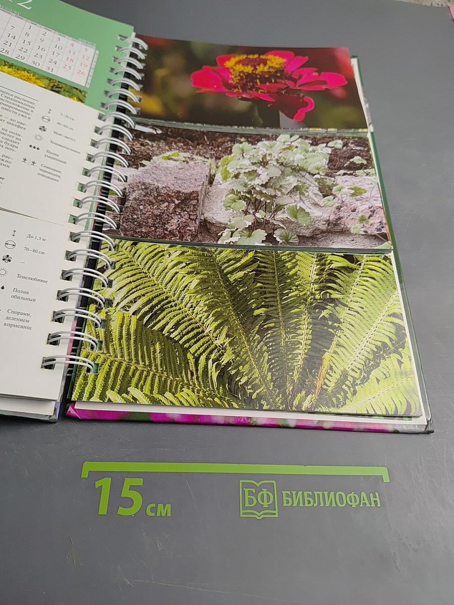 Миллион цветов на вашем участке