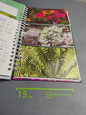 Миллион цветов на вашем участке