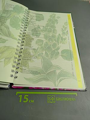 Миллион цветов на вашем участке