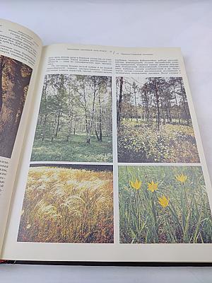 Заповедники европейской части РСФСР. II