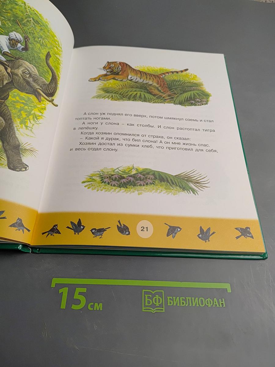 Первоклассные истории