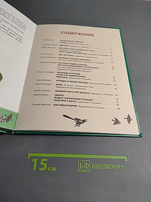 Первоклассные истории