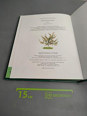 Первоклассные истории