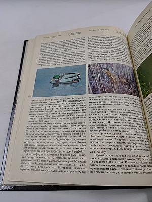 Заповедники СССР. Заповедники Прибалтики и Белоруссии