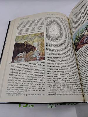 Заповедники СССР. Заповедники Прибалтики и Белоруссии