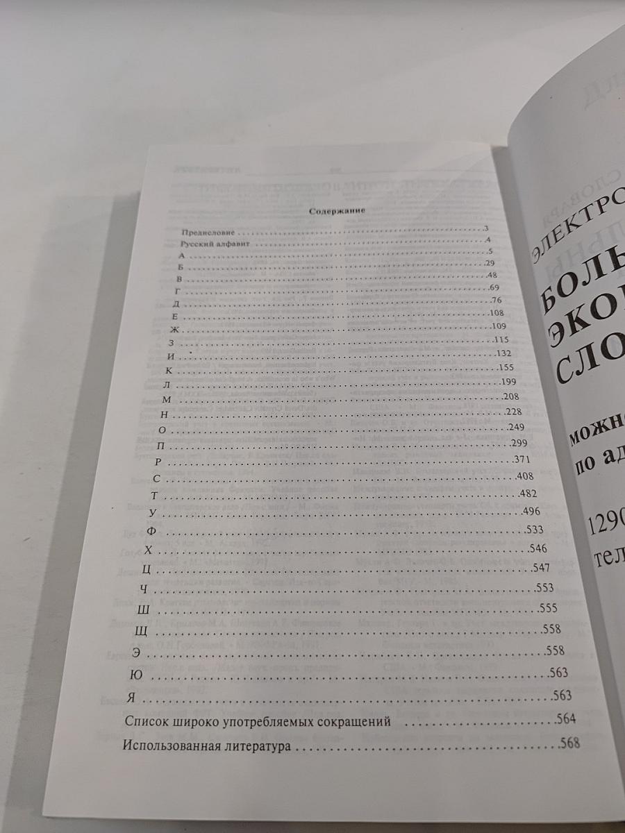 Большой бухгалтерский словарь