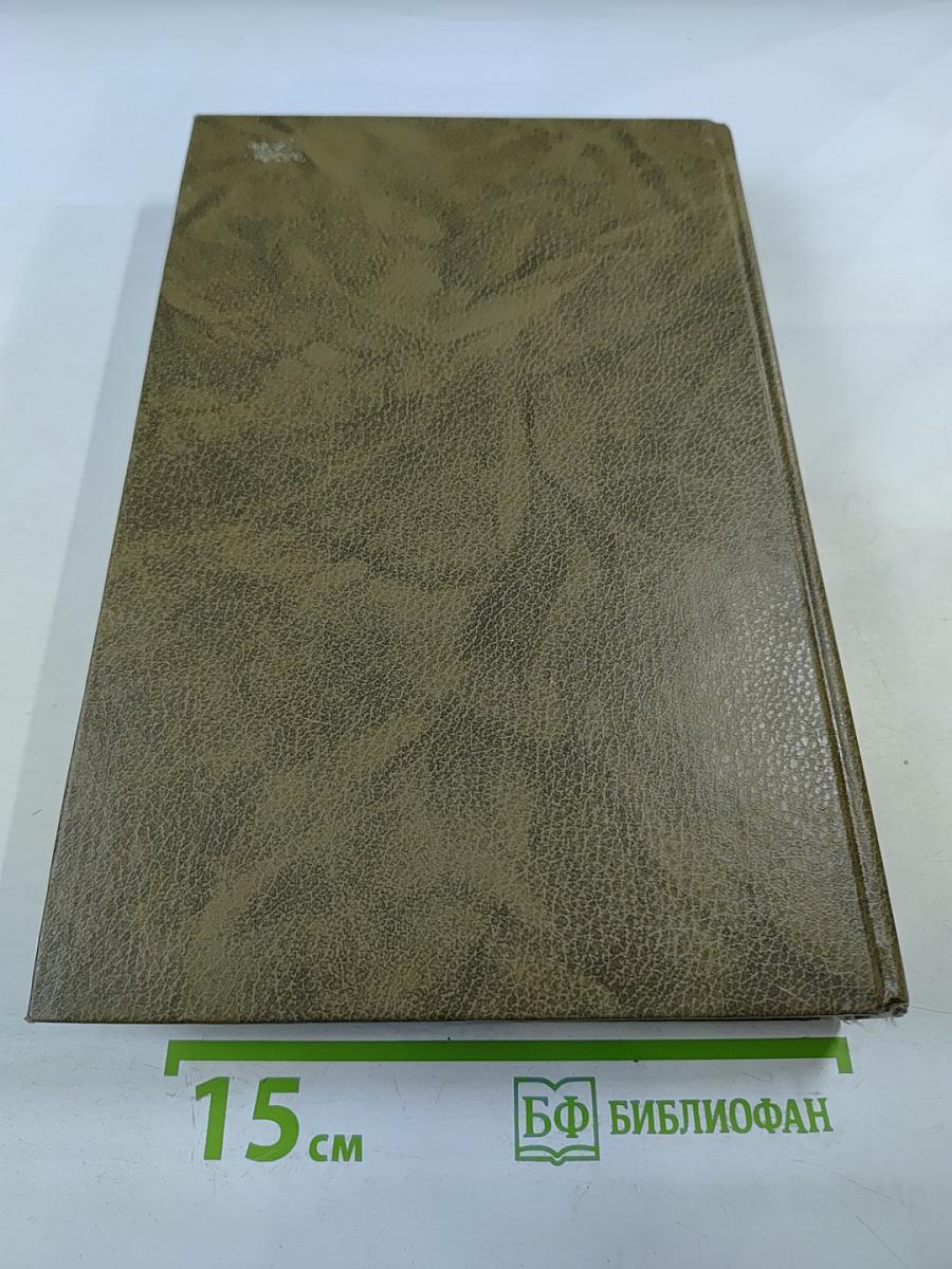 Большой бухгалтерский словарь