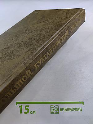 Большой бухгалтерский словарь