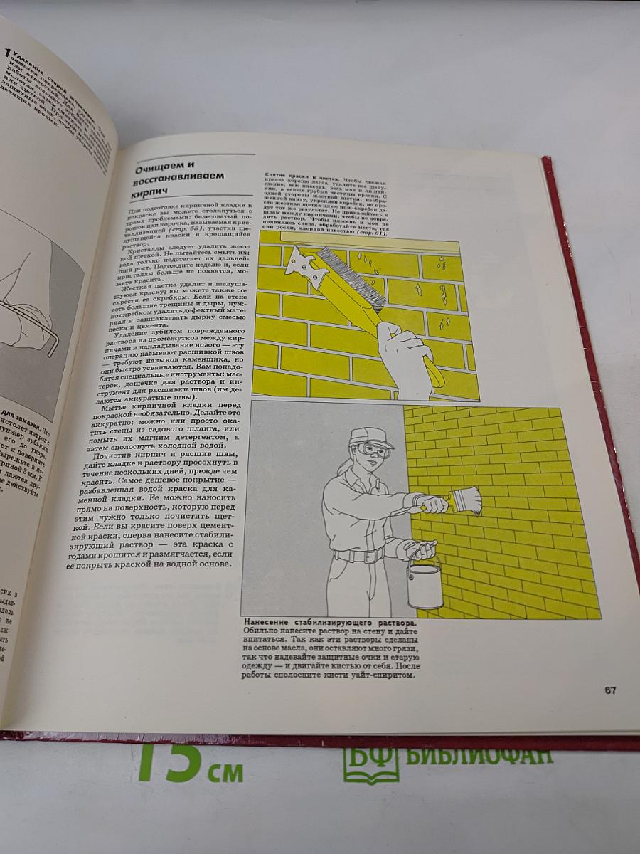 Краски и обои