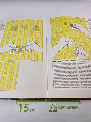 Краски и обои