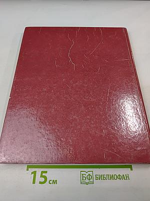 Краски и обои