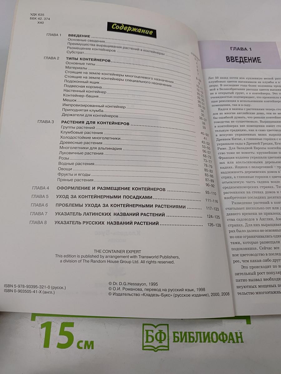 Все о контейнерных растениях