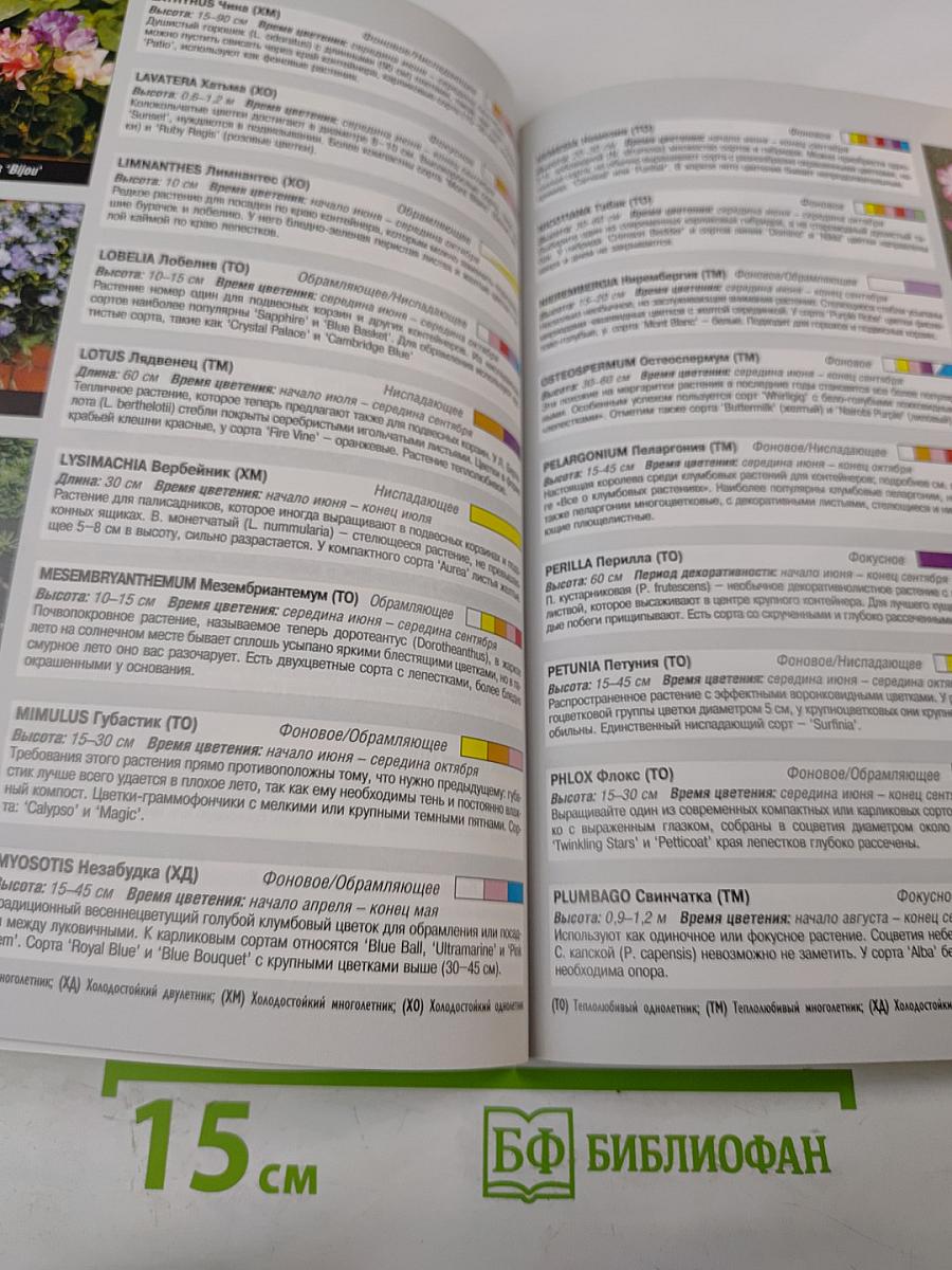 Все о контейнерных растениях
