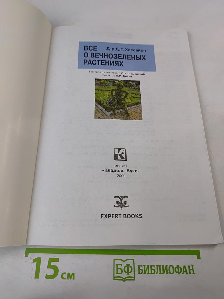 Все о вечнозеленых растениях