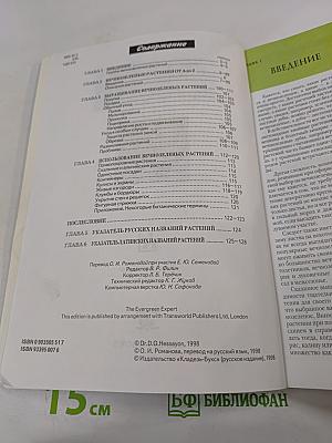 Все о вечнозеленых растениях