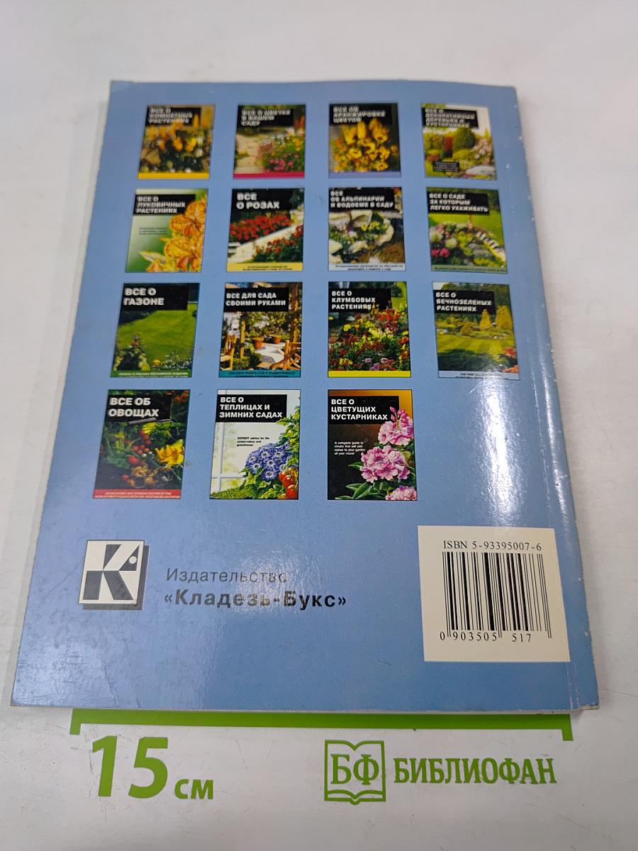 Все о вечнозеленых растениях