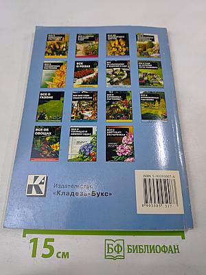 Все о вечнозеленых растениях