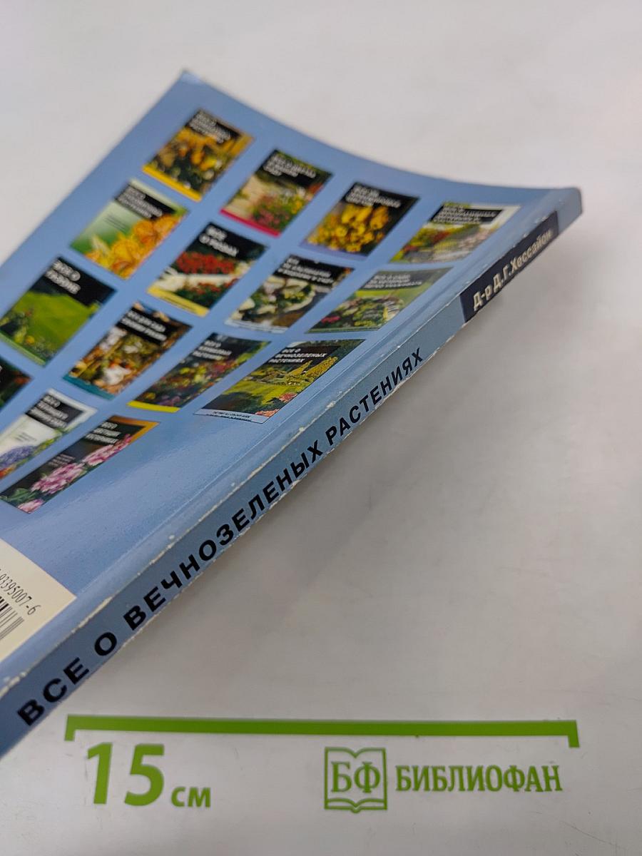 Все о вечнозеленых растениях