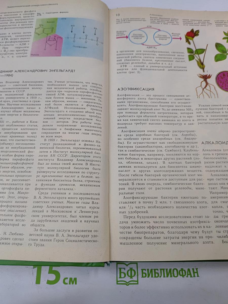 Энциклопедический словарь юного биолога