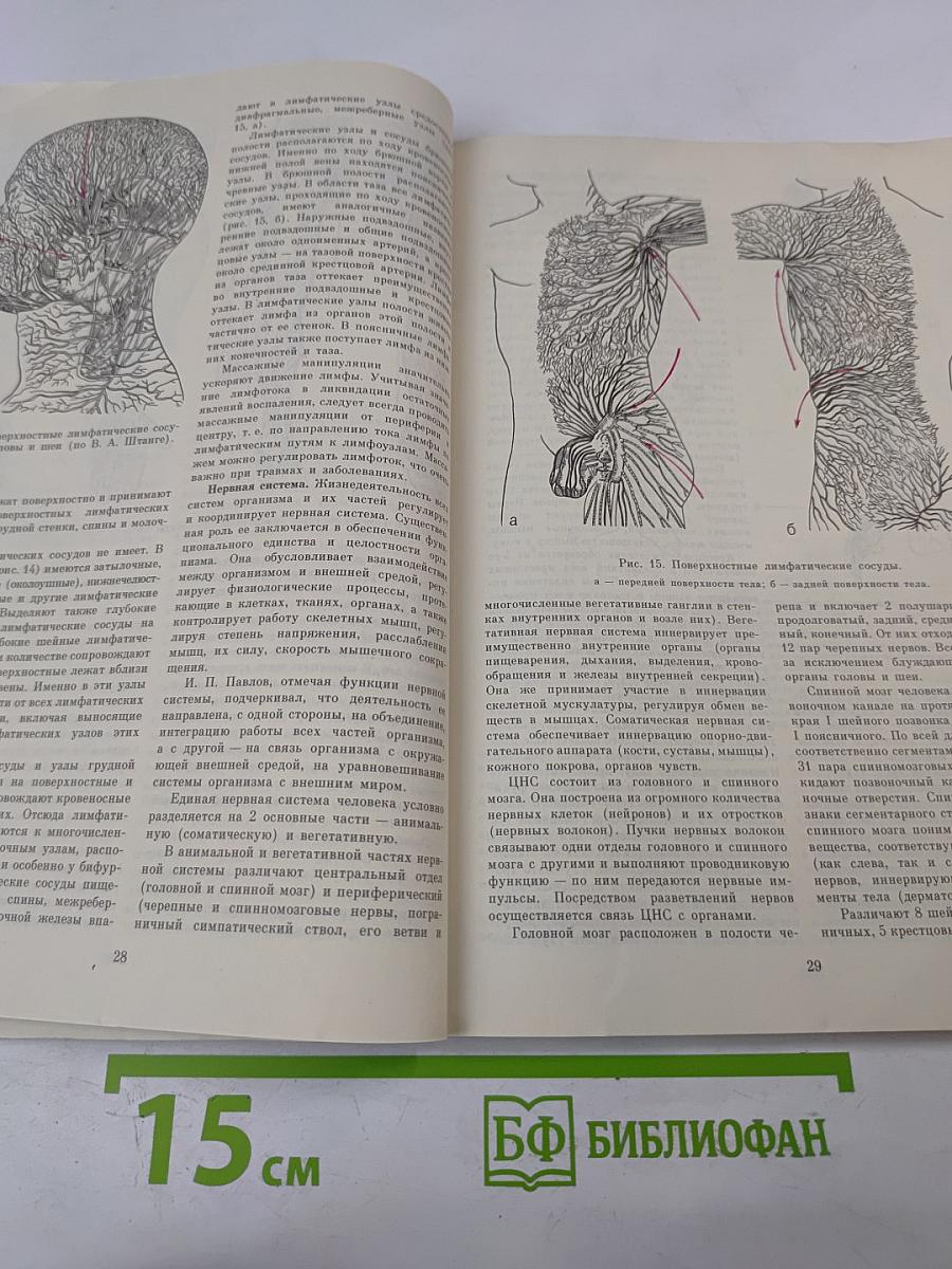 Справочник по массажу