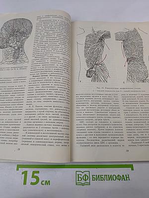 Справочник по массажу