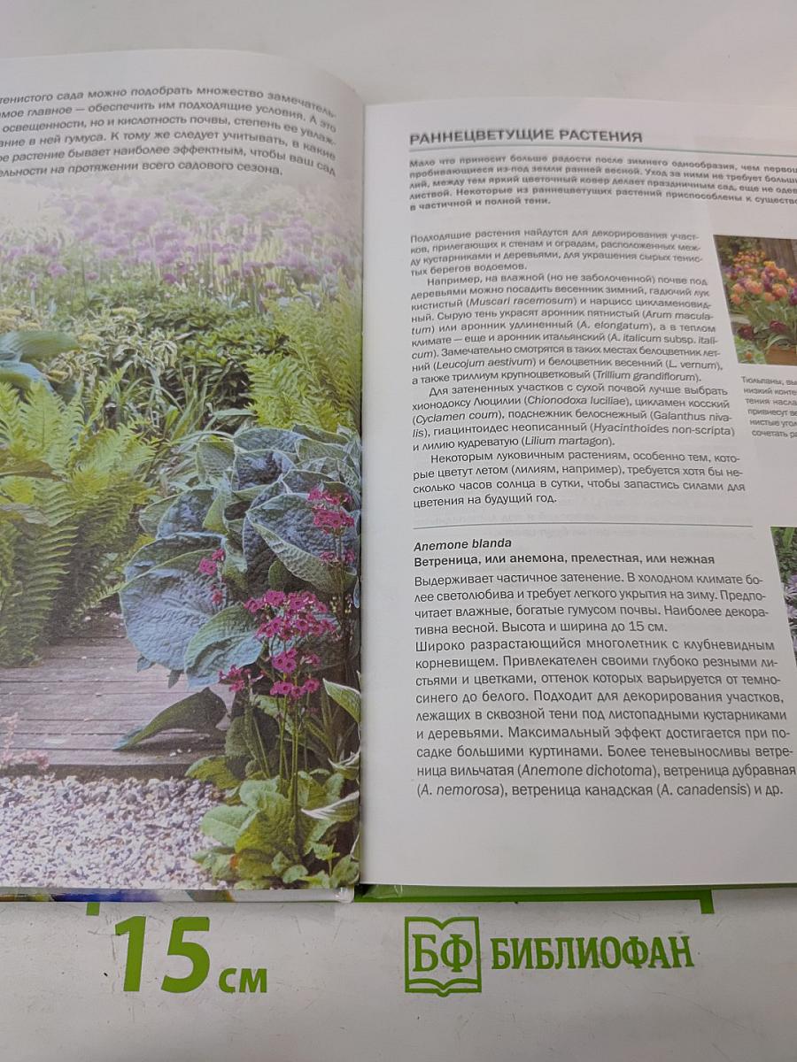 Тенелюбивые растения