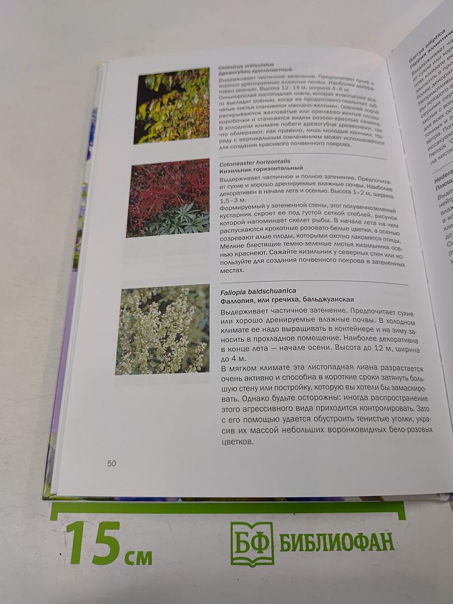 Тенелюбивые растения