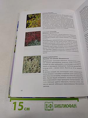 Тенелюбивые растения