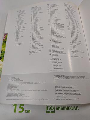 Рим и Ватикан Венеция Флоренция Неаполь