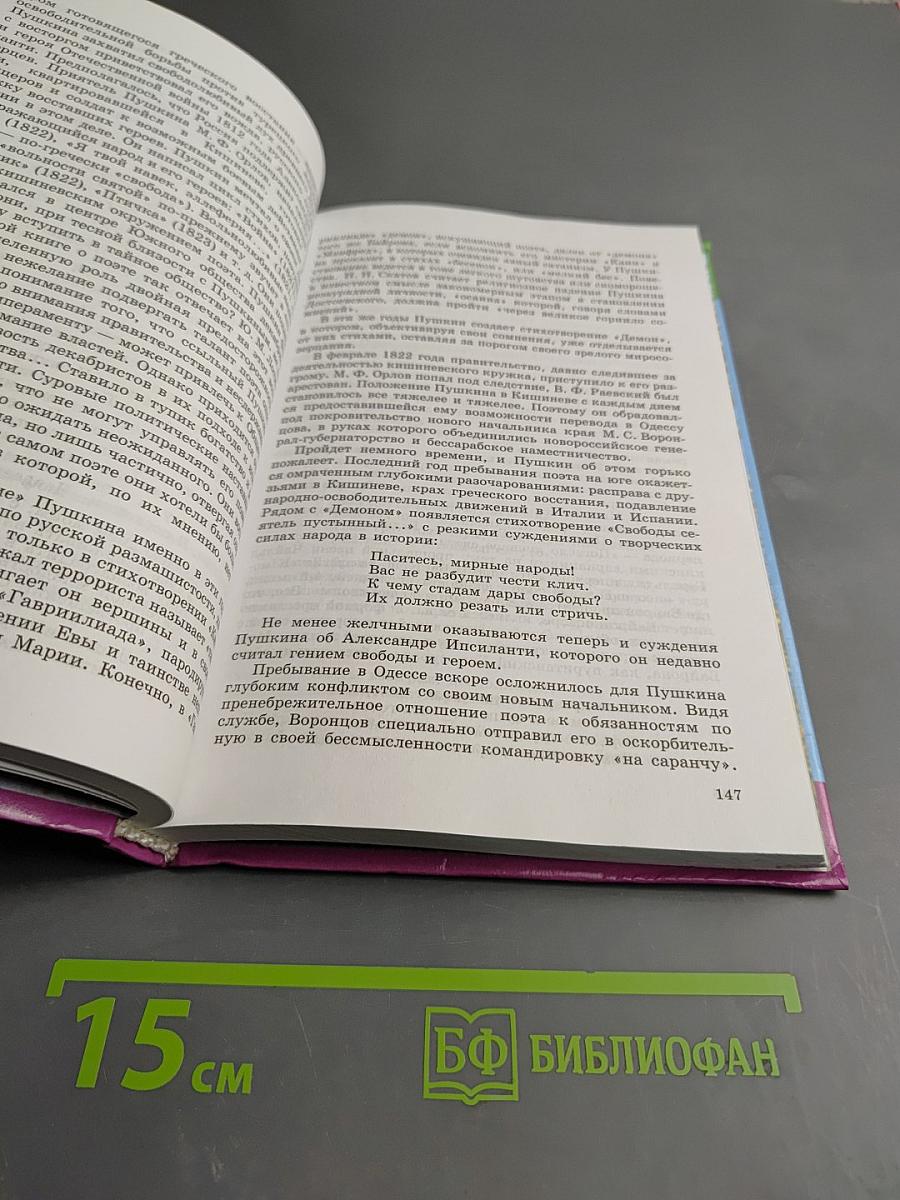 Русская литература XIX века. 10 класс. Часть первая