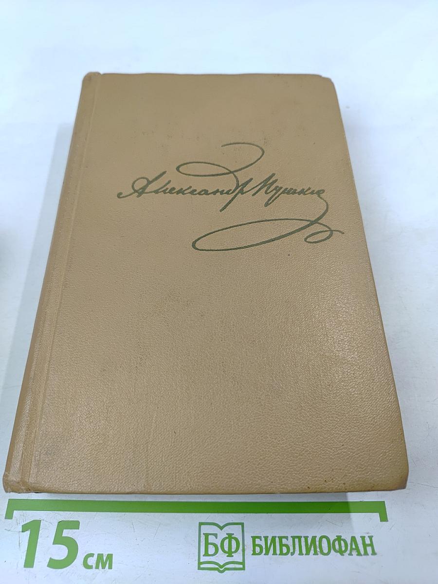 Полное собрание сочинений в десяти томах. Том VI. Художественная проза
