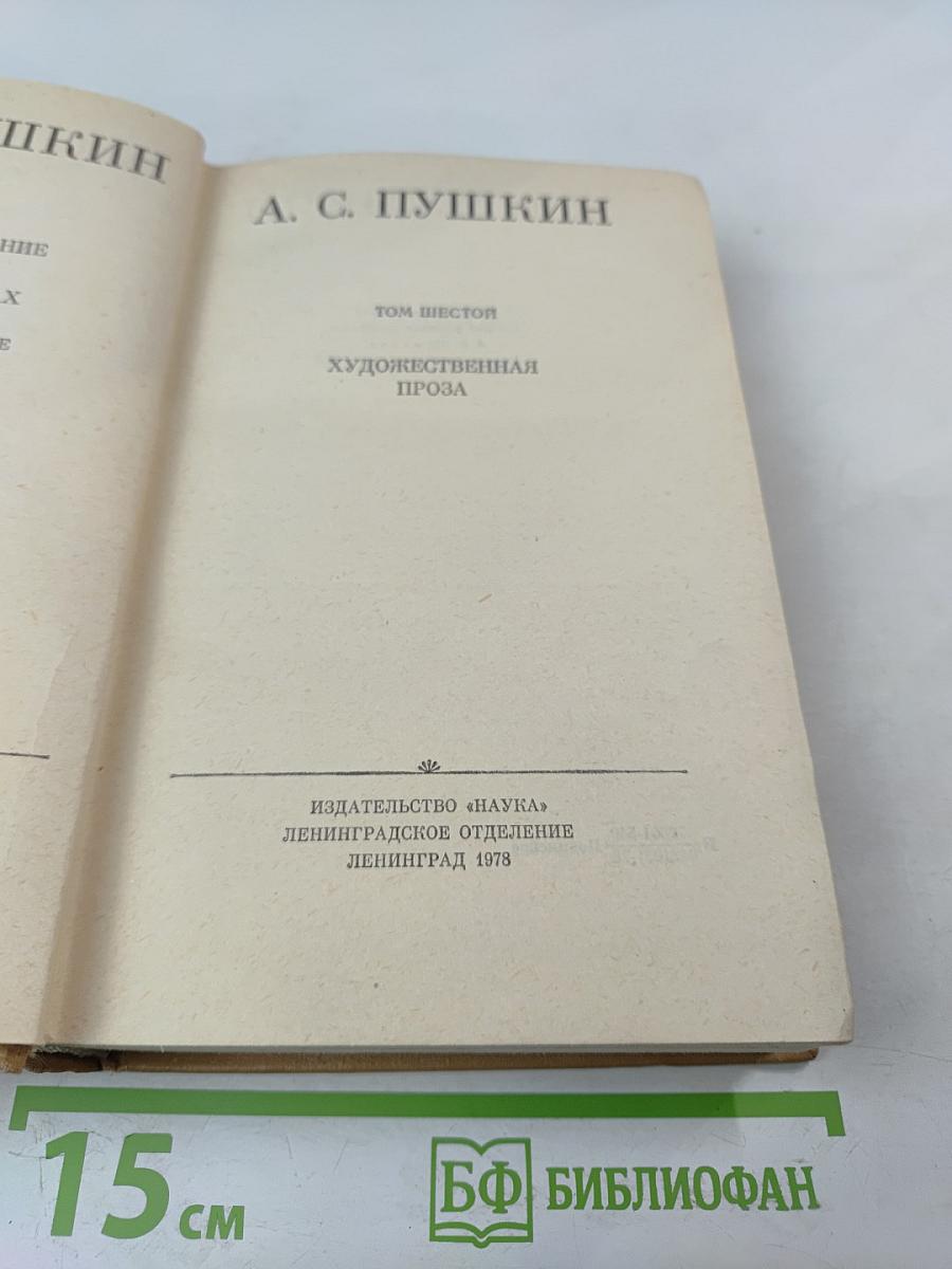 Полное собрание сочинений в десяти томах. Том VI. Художественная проза