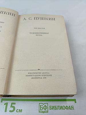 Полное собрание сочинений в десяти томах. Том VI. Художественная проза