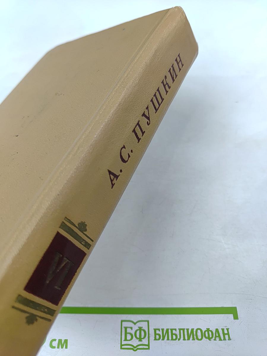Полное собрание сочинений в десяти томах. Том VI. Художественная проза