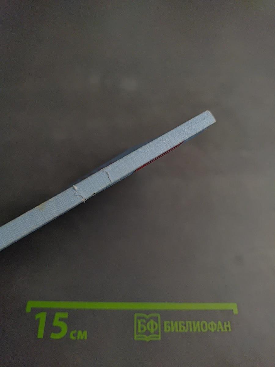 Шиншилла: Содержание, кормление, разведение