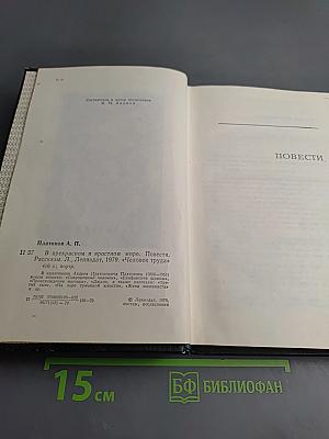 В прекрасном и яростном мире. Повести. Рассказы