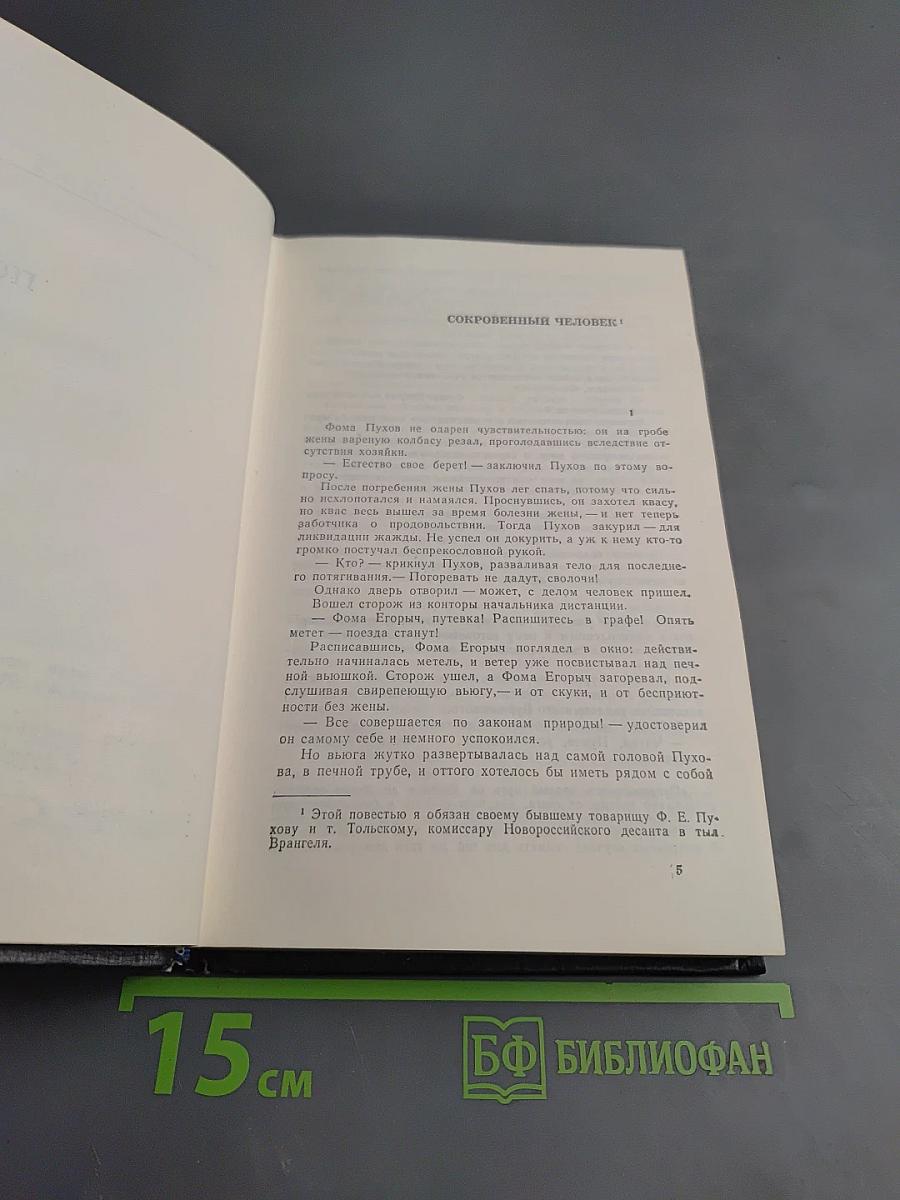 В прекрасном и яростном мире. Повести. Рассказы