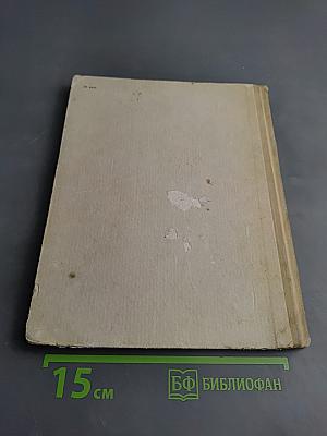 Самый человечный человек