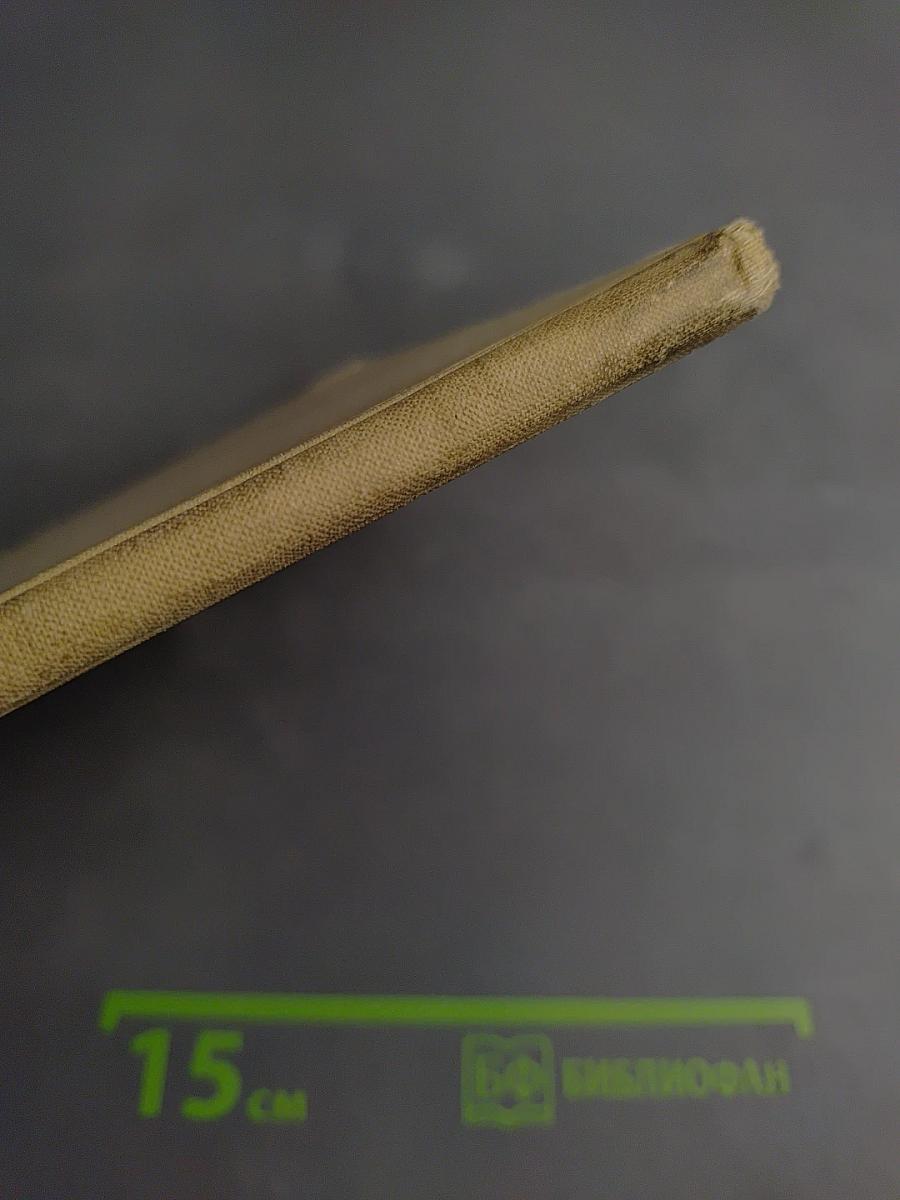 Самый человечный человек