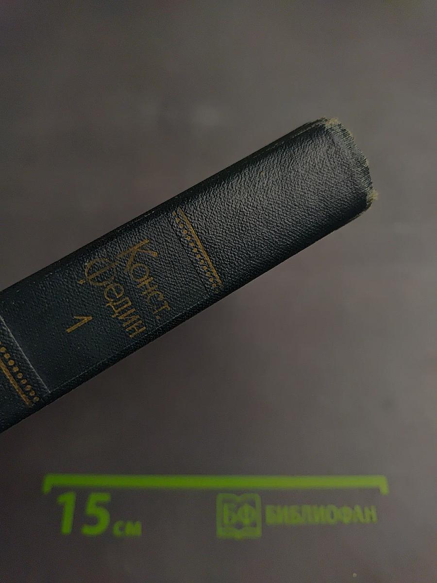 Собрание сочинений. Том 1: Города и годы