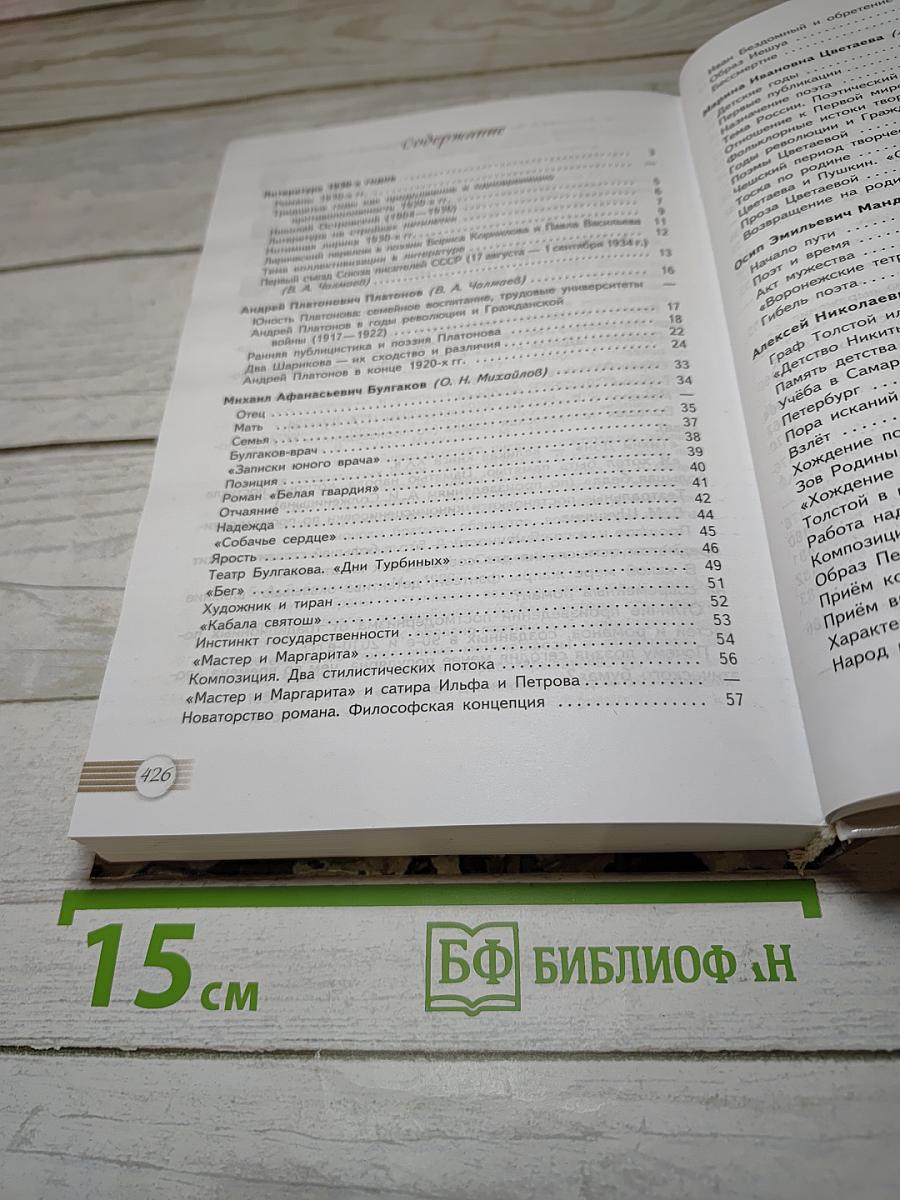 Русский язык и Литература. Литература 11 класс. Базовый уровень. Часть 2