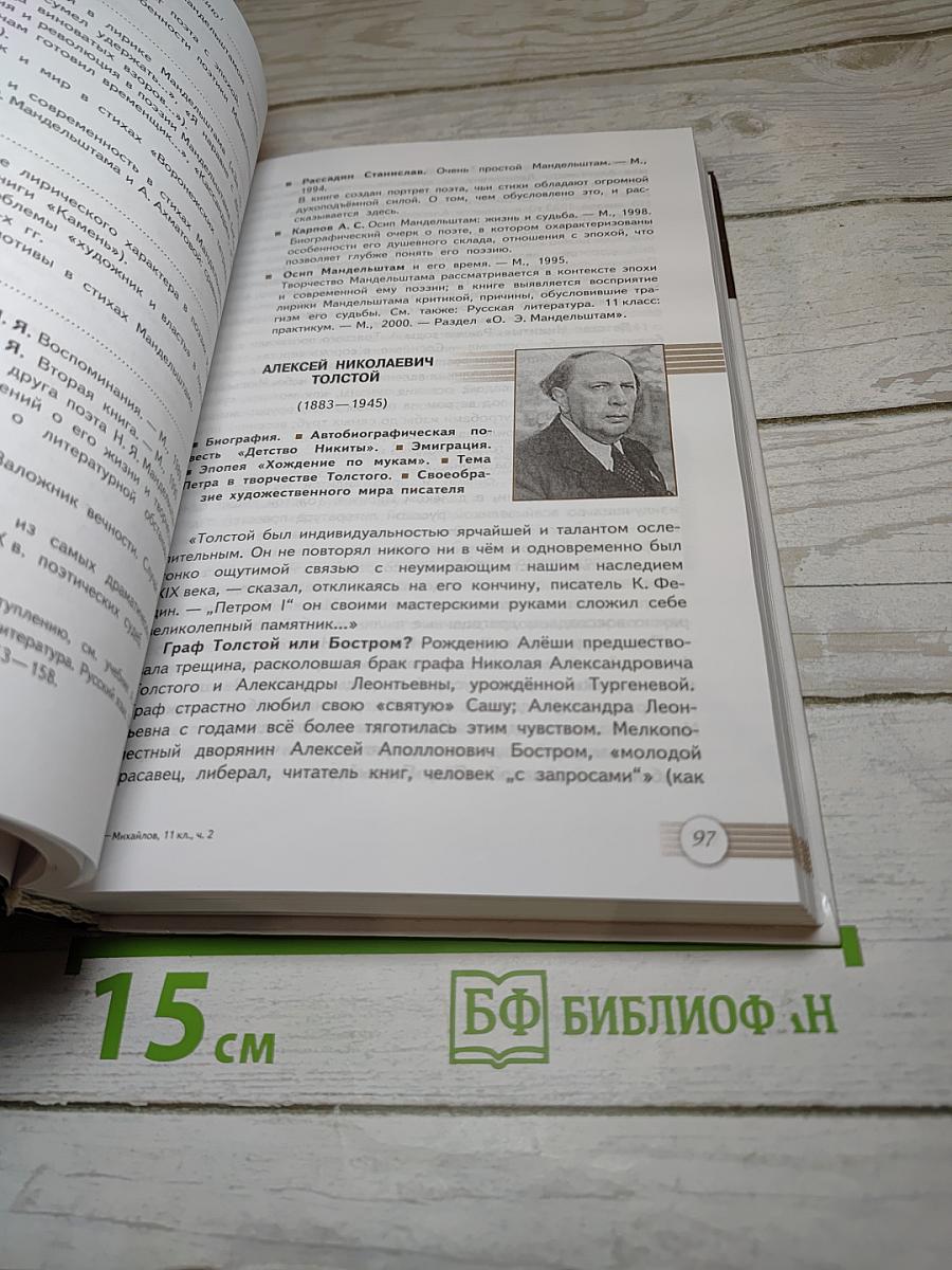 Русский язык и Литература. Литература 11 класс. Базовый уровень. Часть 2